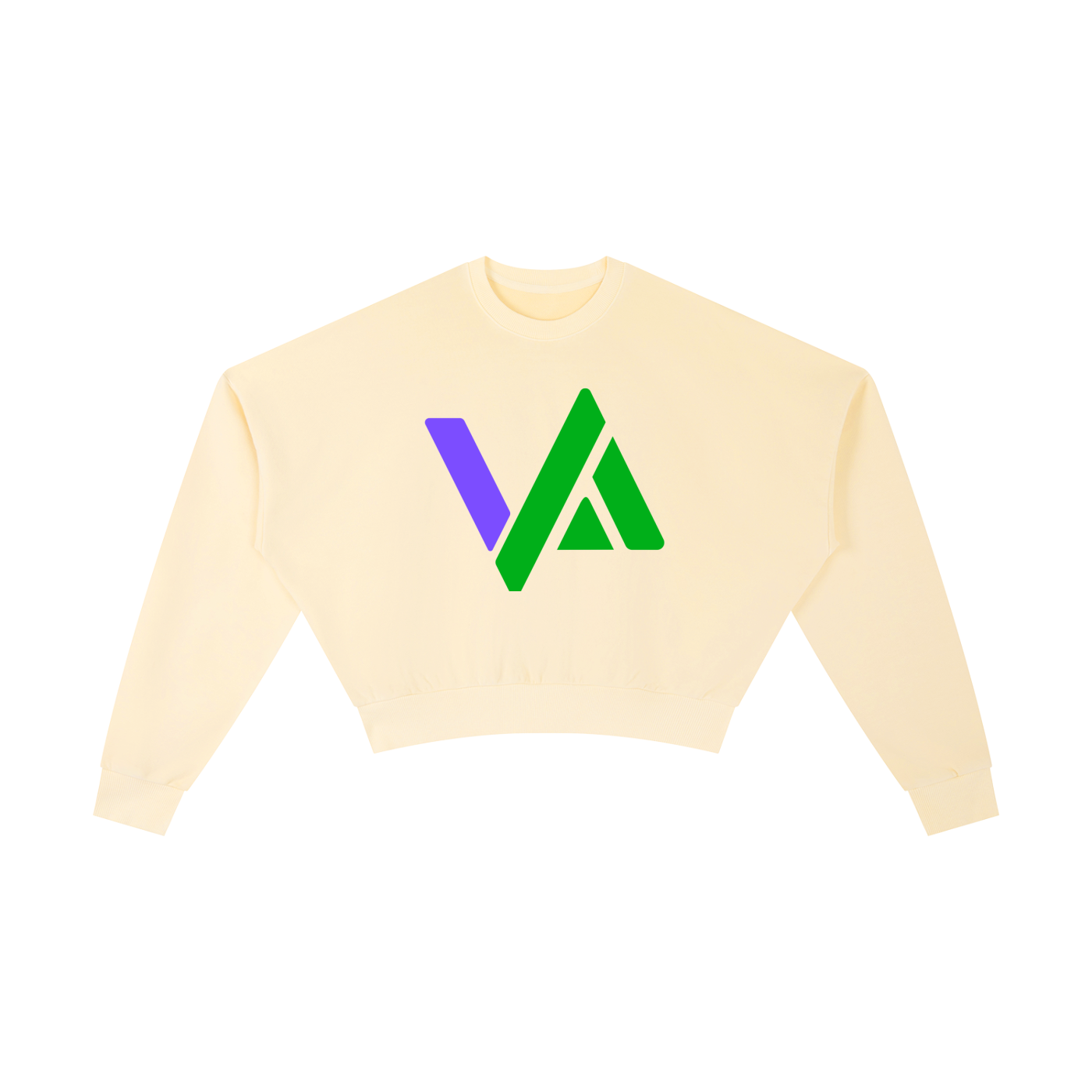 Vintage Washed Cropped Sweatshirt