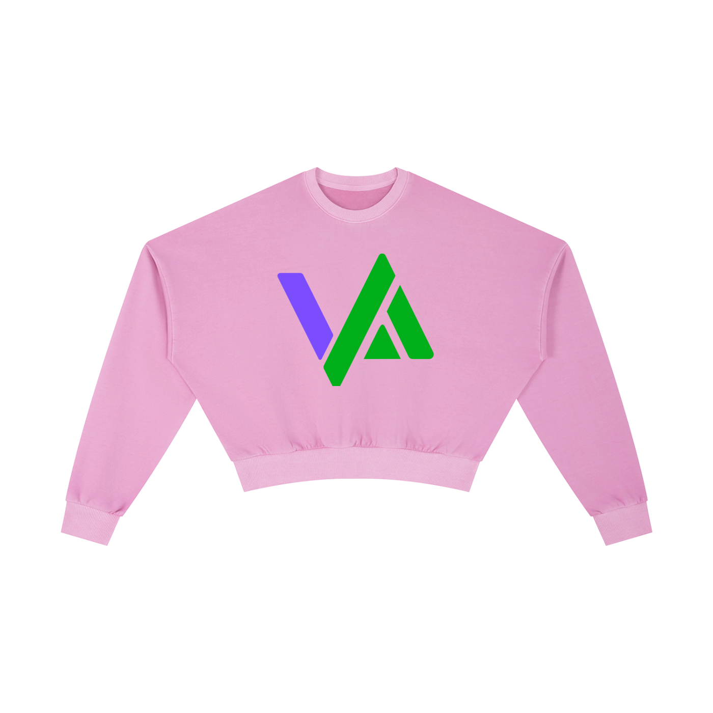 Vintage Washed Cropped Sweatshirt